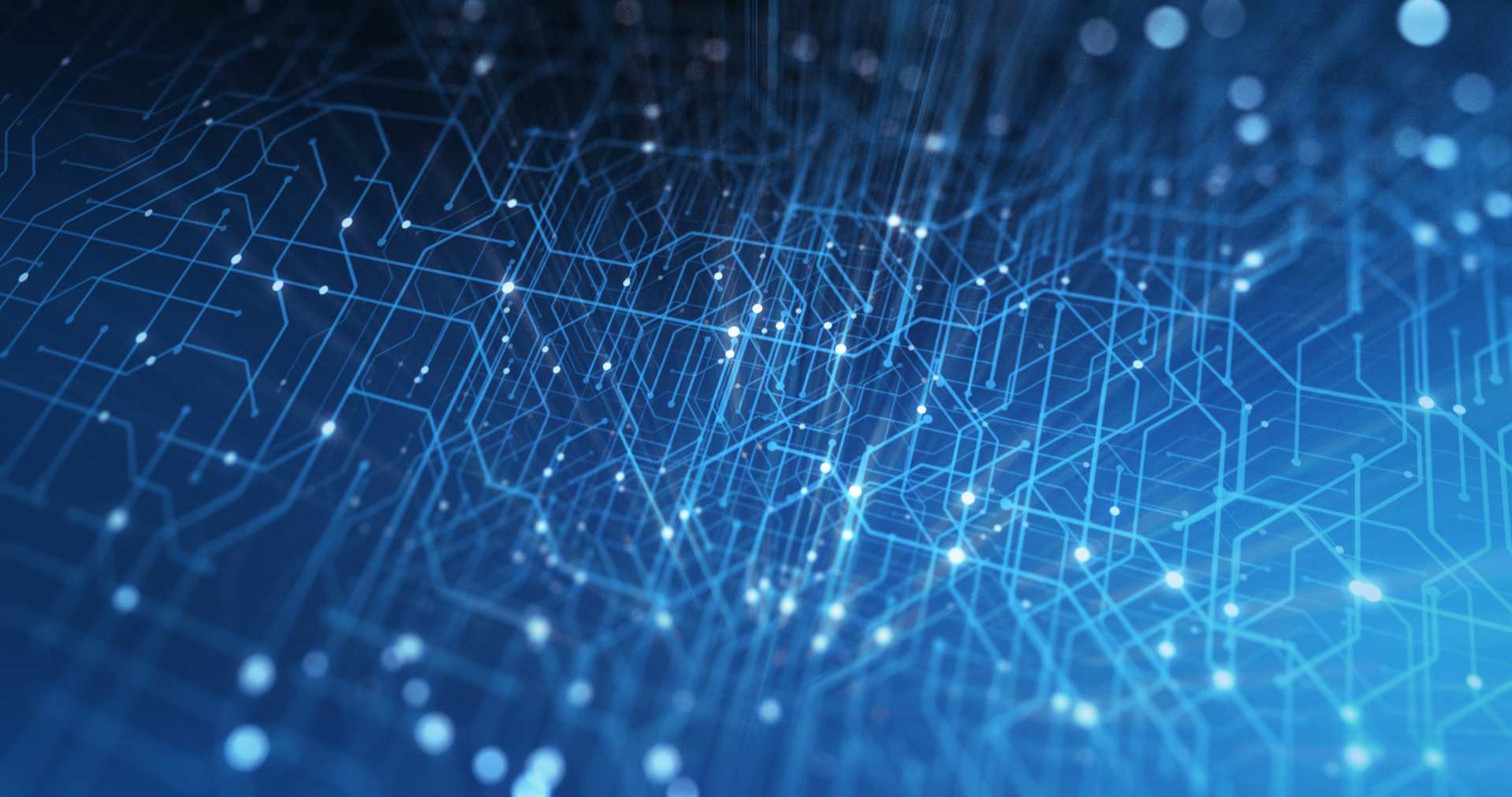 Группа компаний Б1 – стратегический партнер ННФ-2026