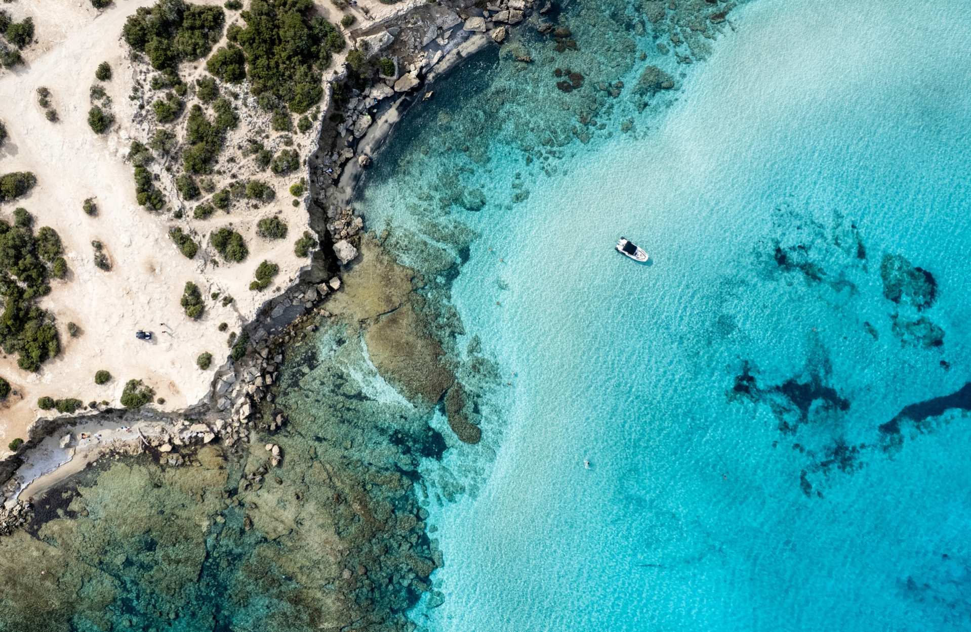 Венчурная Евразия: итоги 2025 года