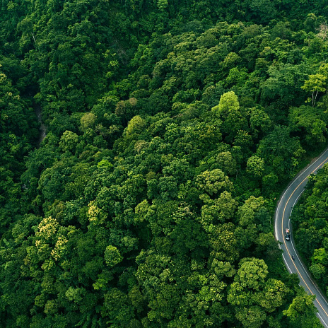 Sustained volatility: navigating the balance between challenges and opportunities
