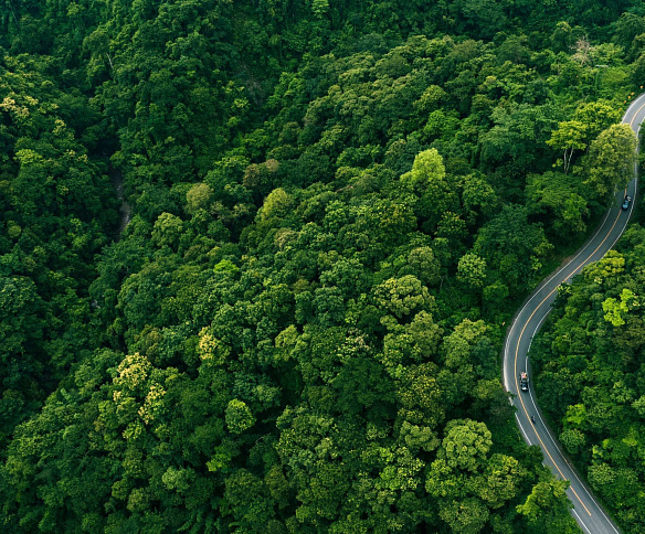 Sustained volatility: navigating the balance between challenges and opportunities