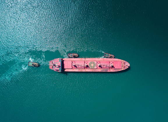 Административное и уголовное преследование в сфере таможенных правоотношений