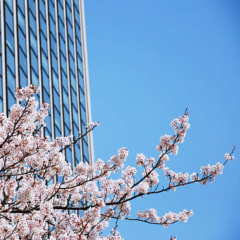 Подтверждено: чистый разум не скован границами