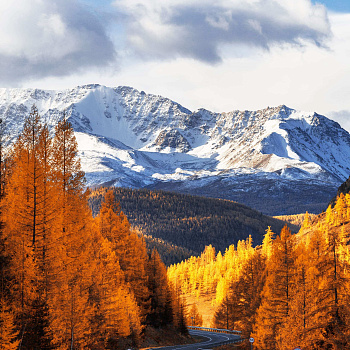 Подтверждено: чистый разум не скован границами